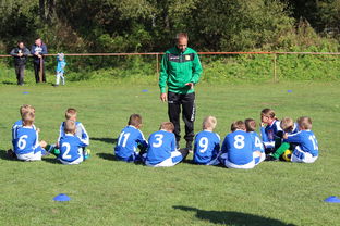 爱游戏体育官网-欧洲杯逆转奇迹：战术配合与个人能力的完美呈现，欧洲杯逆天进球